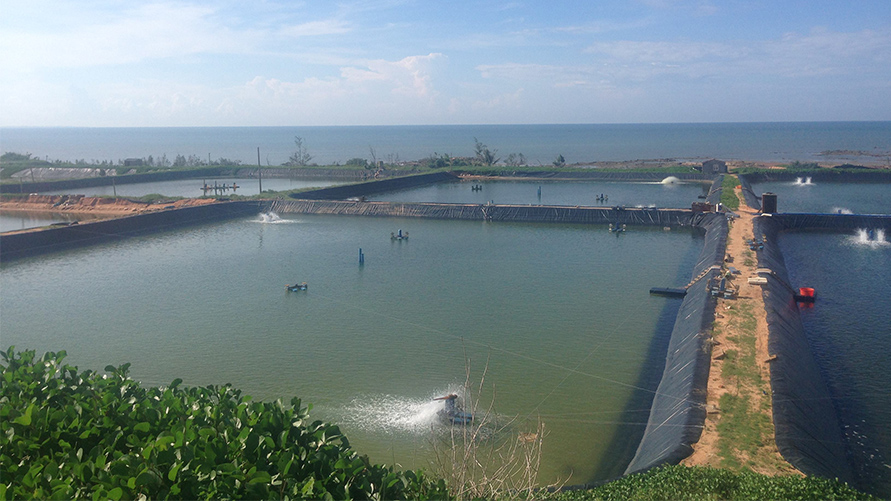 1-1P4141601390-L.jpg 1-1P4141601390-L.jpg